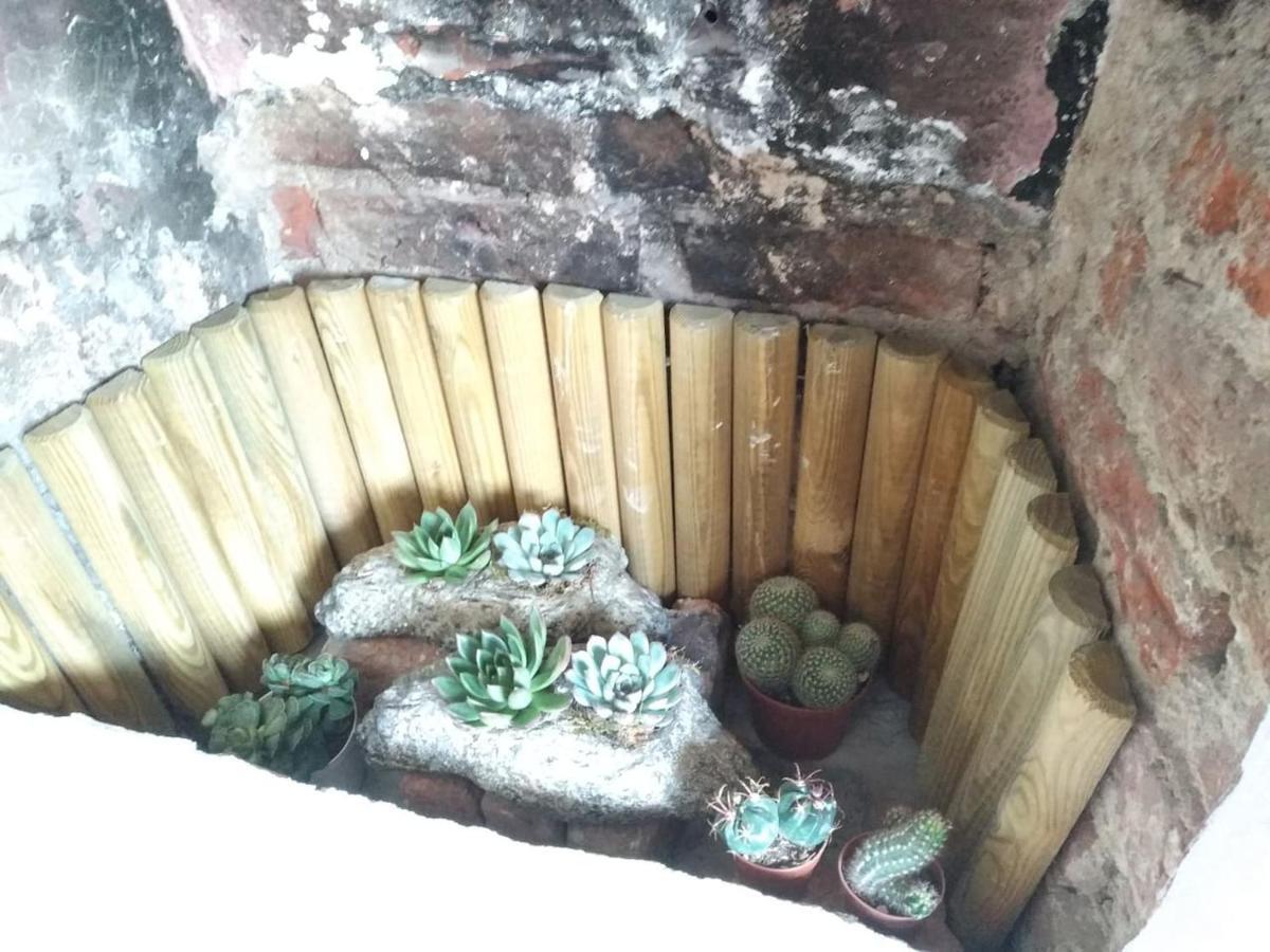 Apartmán Mansarda Al Valentino Turín Exteriér fotografie